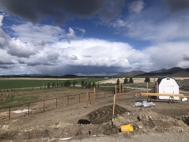 Home On The Range #25: A Predator-Proof Coop Home On The Range #25: A Predator-Proof Coop