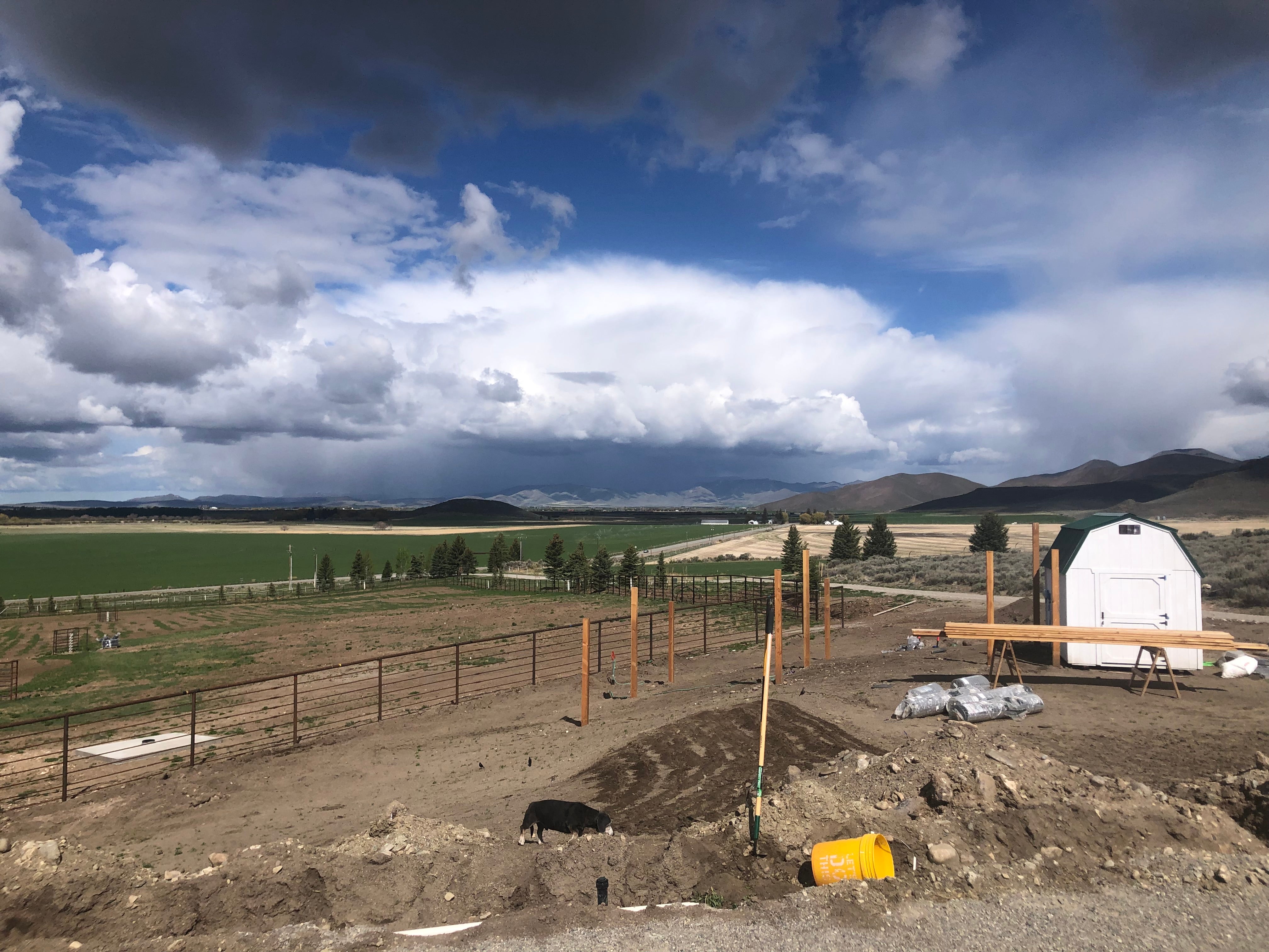 Home On The Range #25: A Predator-Proof Coop Home On The Range #25: A Predator-Proof Coop