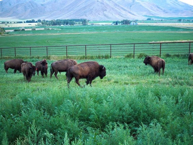 Home On The Range #26: The Duality of The Agrarian Experience Home On The Range #26: The Duality of The Agrarian Experience