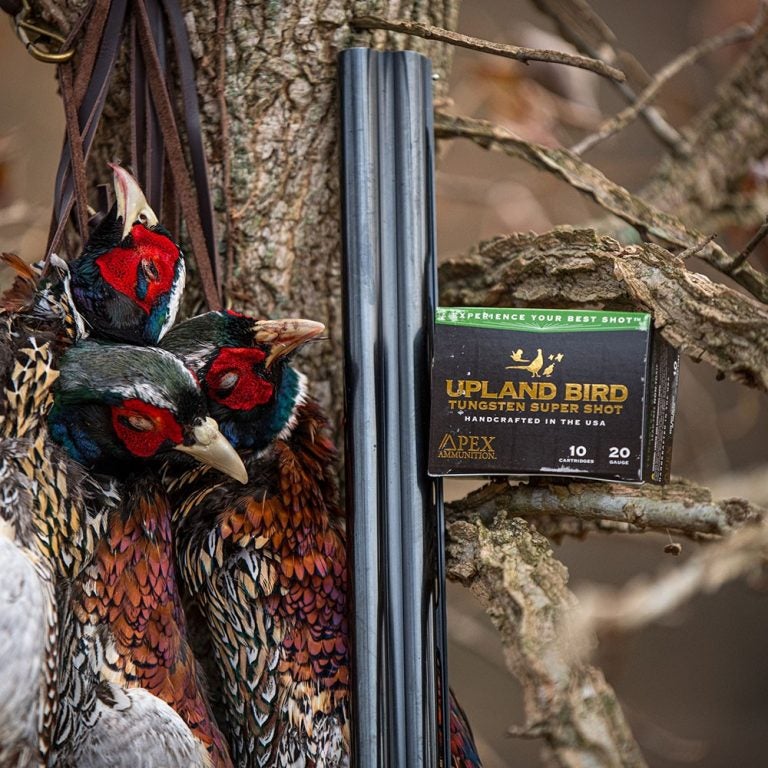 New Upland Bird Tungsten Super Shot from APEX Ammunition