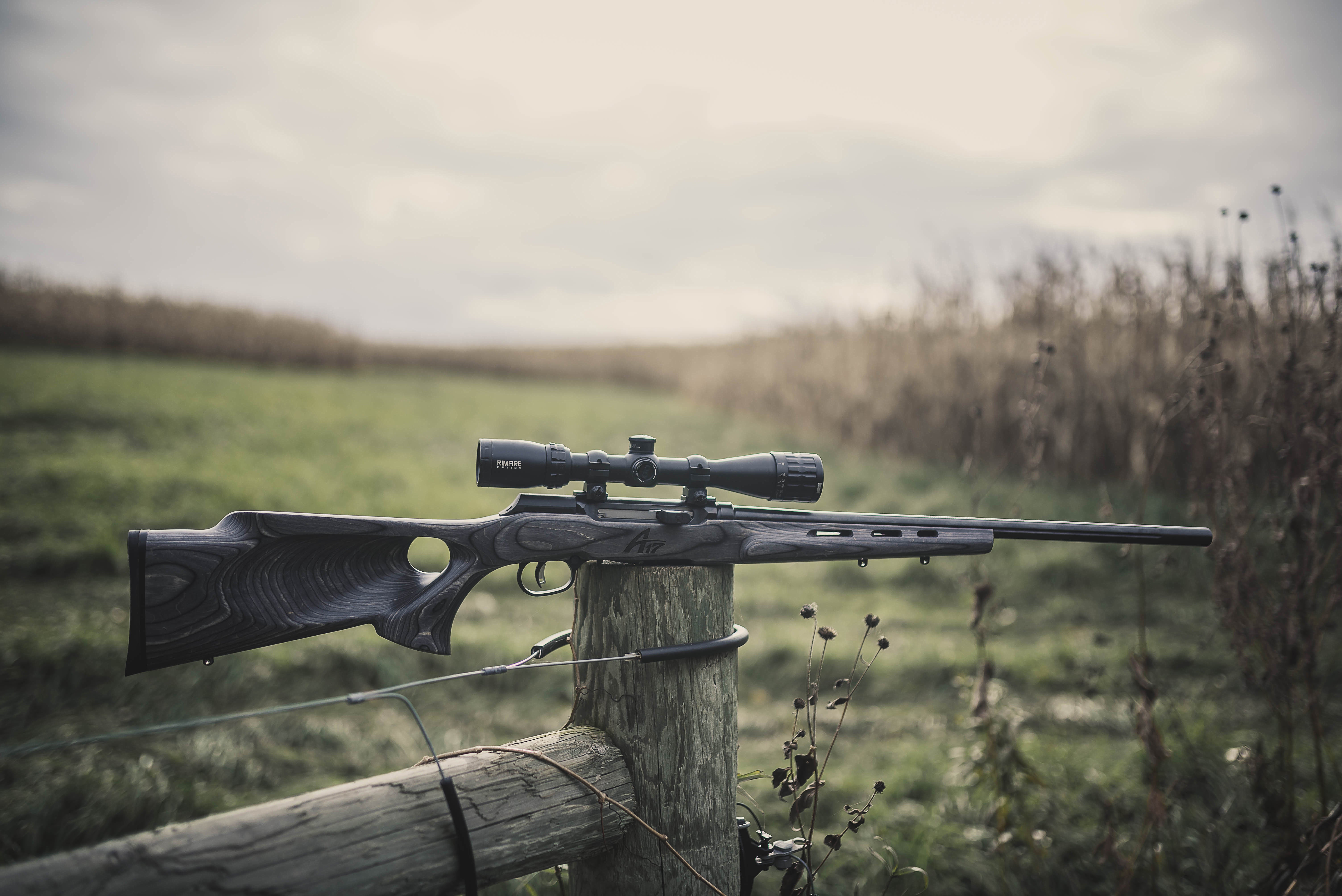 NEW Savage Arms A17 WSM – Semi-Automatic .17 WSM Rimfire Rifle NEW Savage Arms A17 WSM – Semi-Automatic .17 WSM Rimfire Rifle