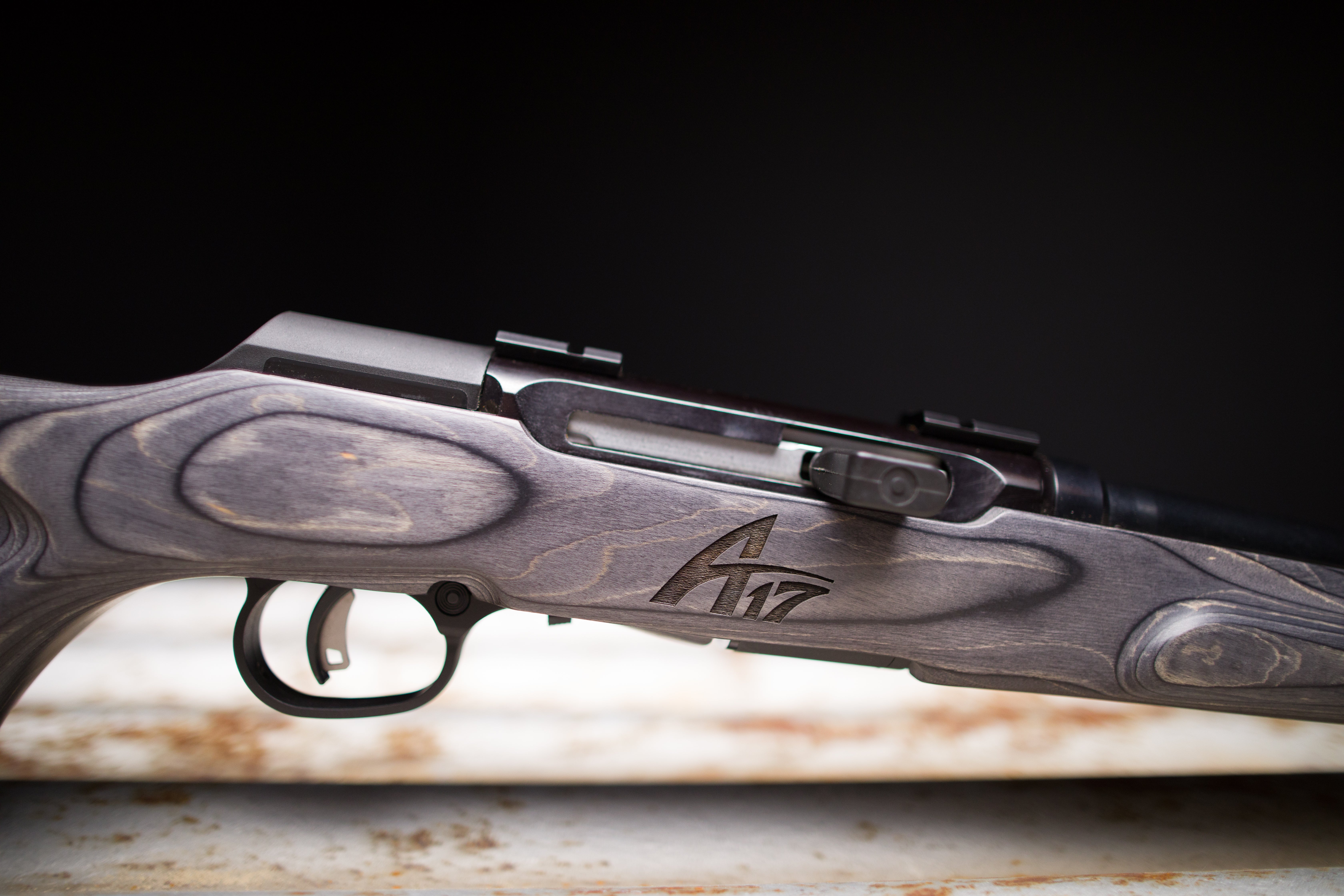 The New A17 WSM - A 17 WSM Semi-Automatic Rimfire Rifle