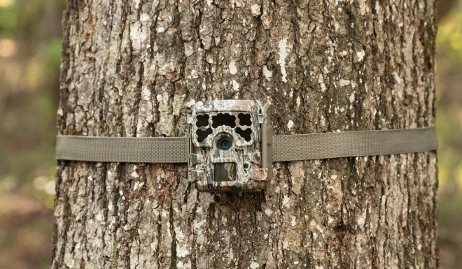 Moultrie Introduces Three NEW Micro Series Cameras