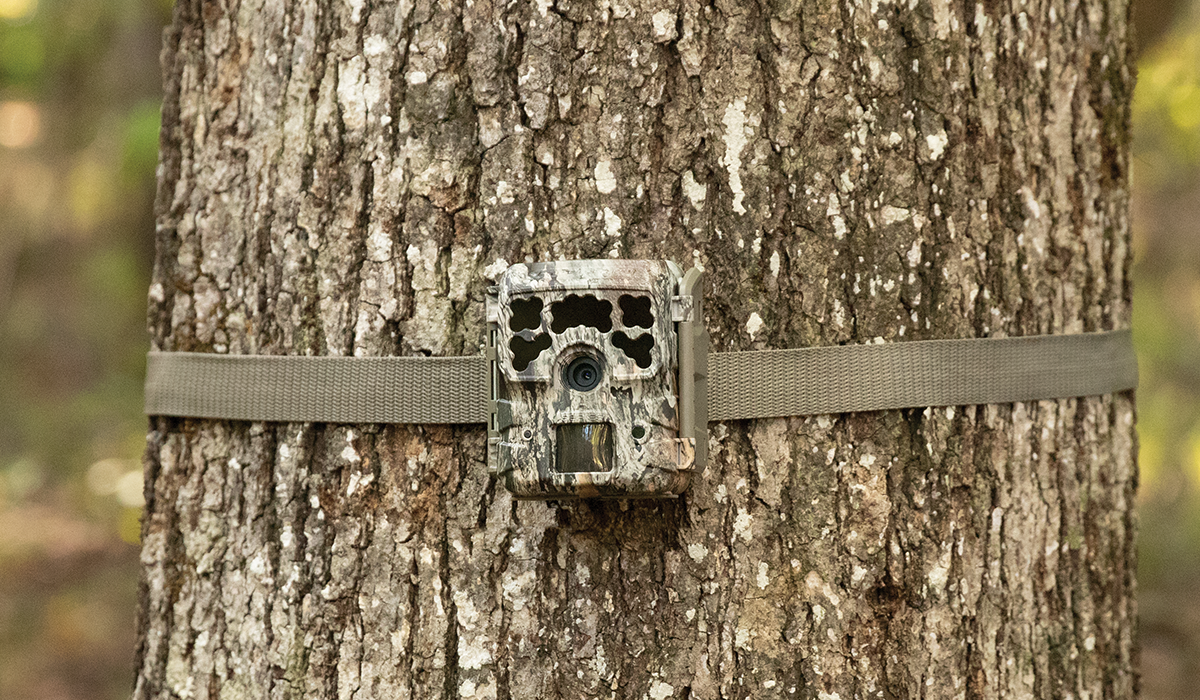 Moultrie Introduces Three NEW Micro Series Cameras Moultrie Introduces Three NEW Micro Series Cameras