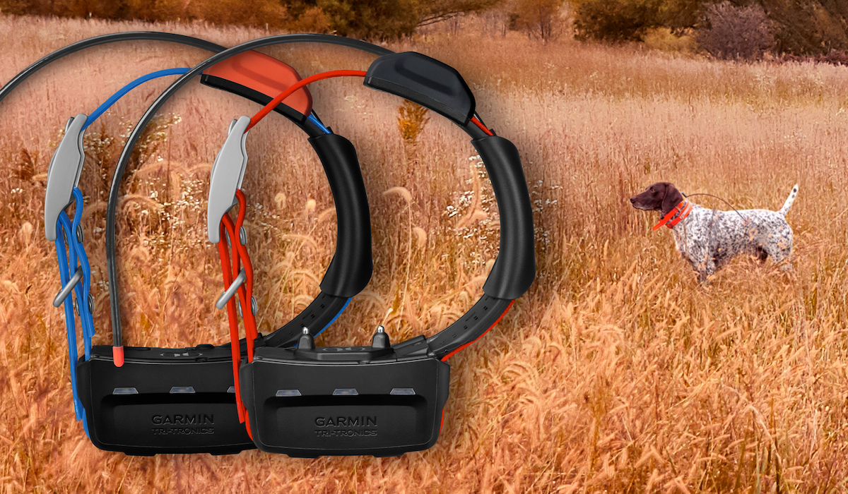 Where’s A Good Boy? The Garmin TT 15X and T 5X Dog Devices Where’s A Good Boy? The Garmin TT 15X and T 5X Dog Devices
