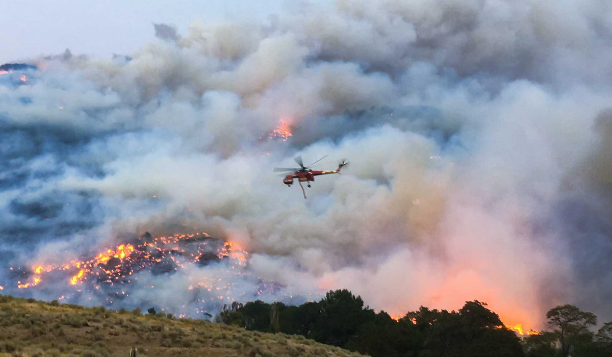 Wildfire Recovery Efforts