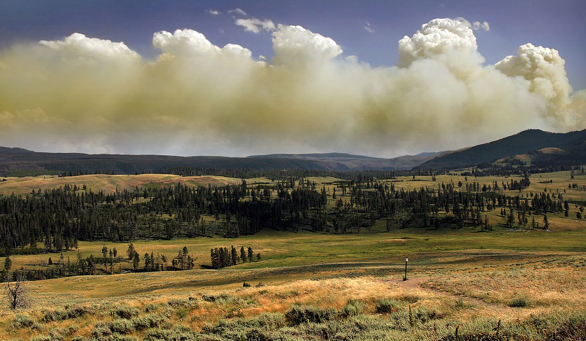 Wildfire Recovery Efforts