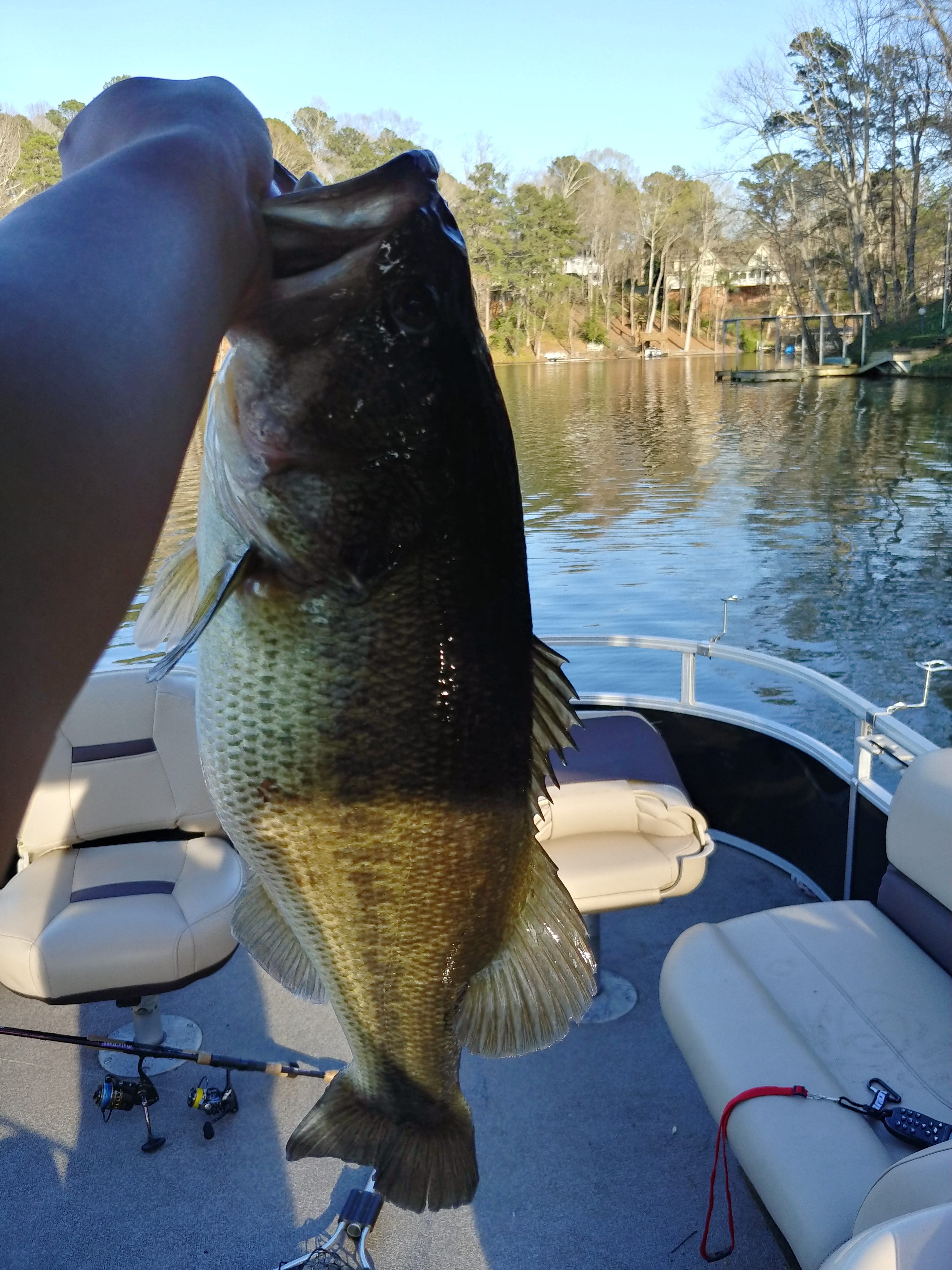 Big 8lb 9oz Female Bass