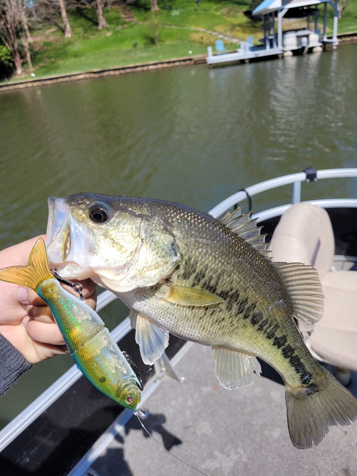 Tying on Big Baits to Land Big Bass in the Spring Time Tying on Big Baits to Land Big Bass in the Spring Time