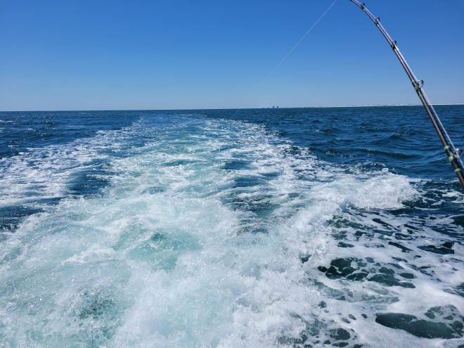 Cruising the Gulf Coast & Fishing for Spring Cobia