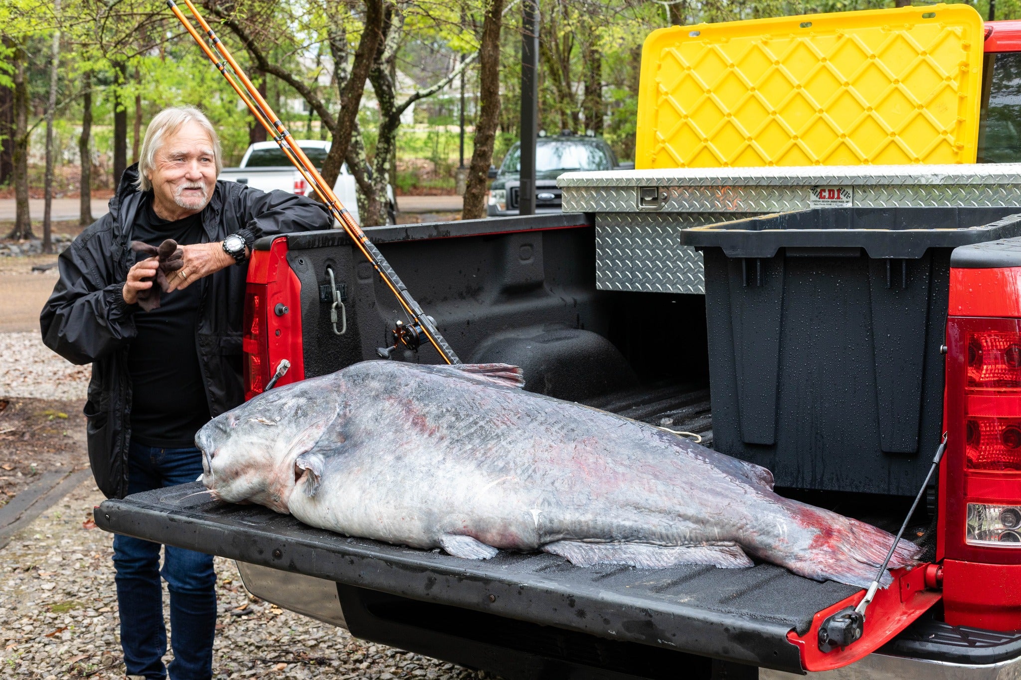 131 Pound Blue Catfish Breaks Mississippi State Record 131 Pound Blue Catfish Breaks Mississippi State Record