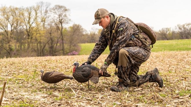 Longing for Longbeards? Primos has NEW Spring Turkey Decoys Available