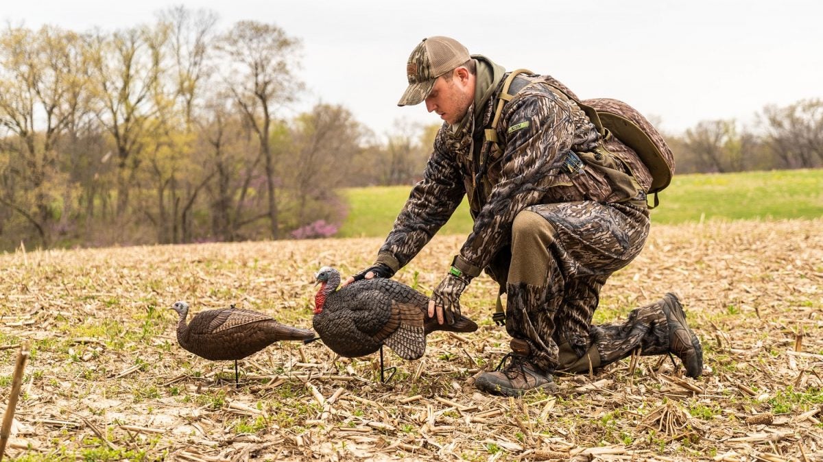 turkey decoys