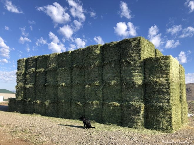 Home On The Range #028: The Grass Hay is Always Greener Home On The Range #028: The Grass Hay is Always Greener