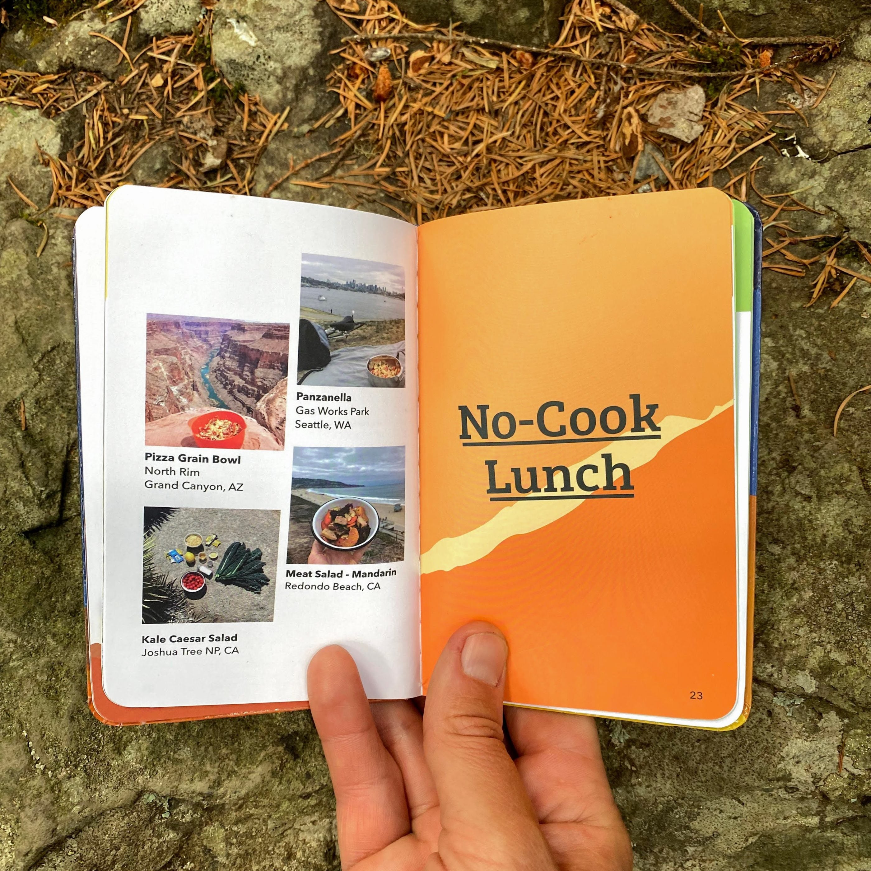 person holding cookbook