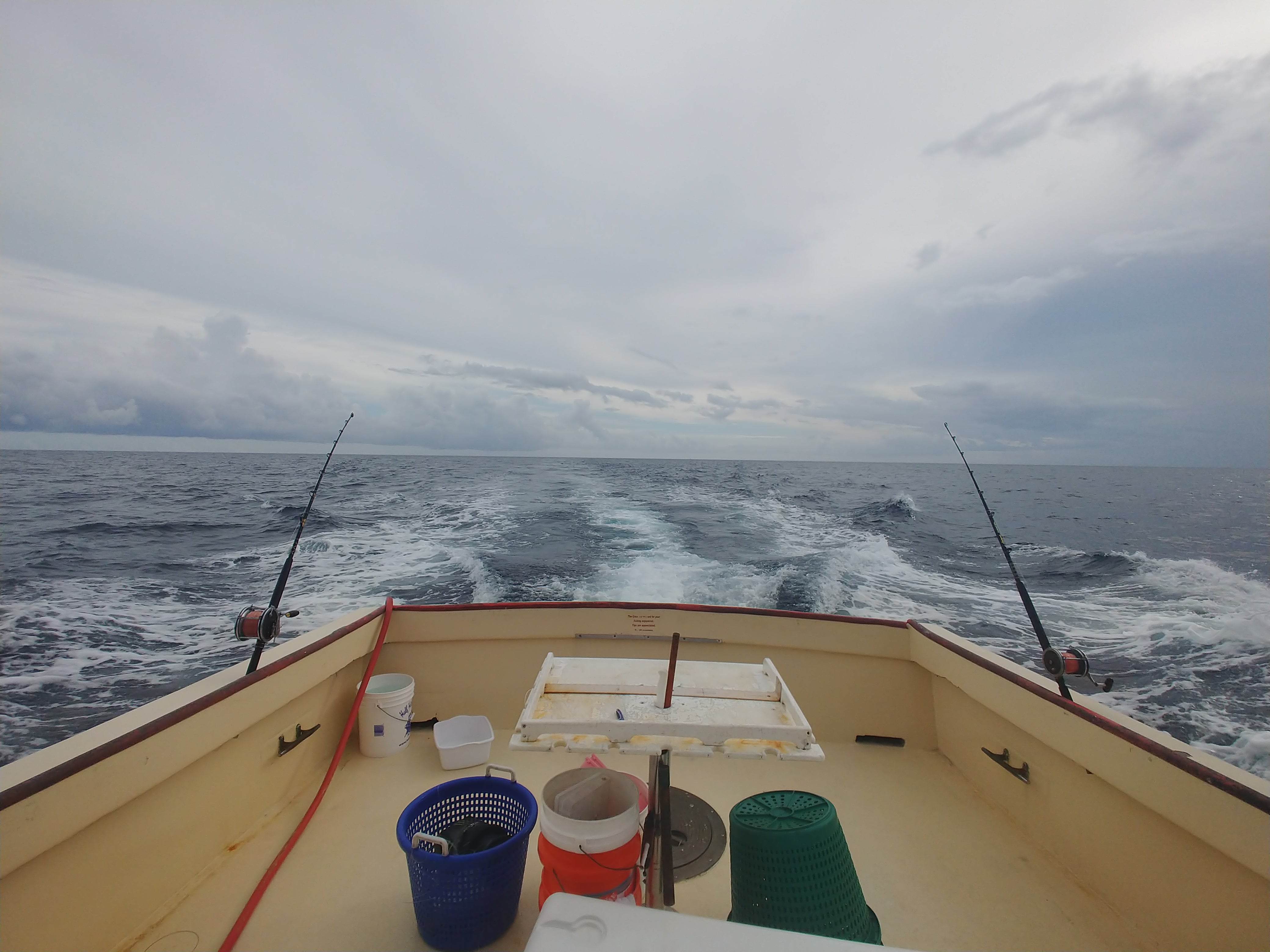 deep sea fishing pinfish vermillion snapper red snapper grouper triggerfish daiwa