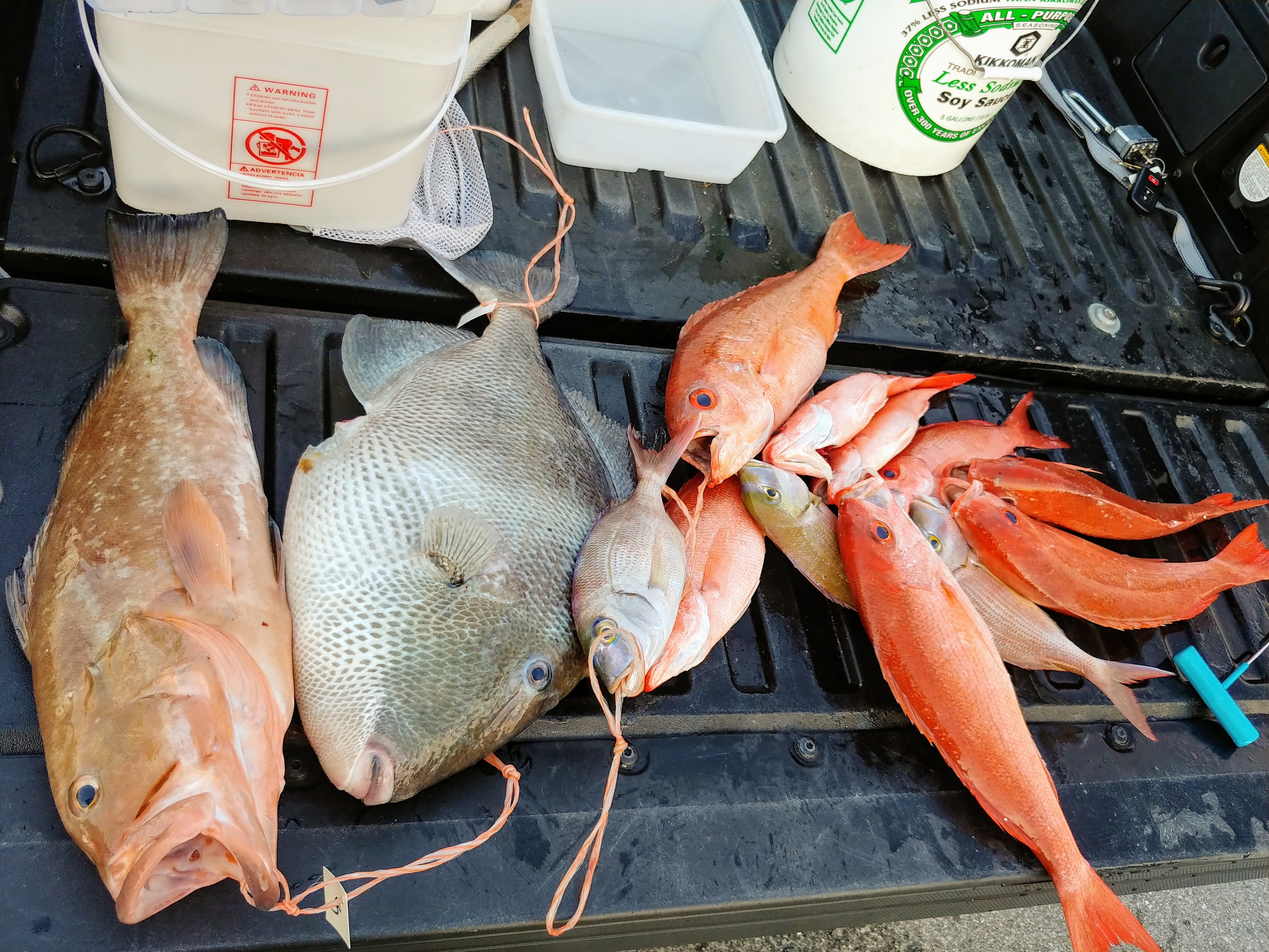 Gulf Bottom Fishing Basics: Party Boat Insider Tips Gulf Bottom Fishing Basics: Party Boat Insider Tips
