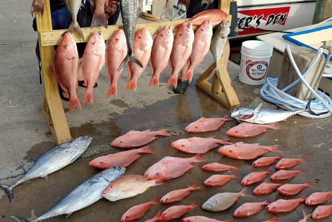 NOAA Fisheries says 2 Day Red Snapper Season for 2022