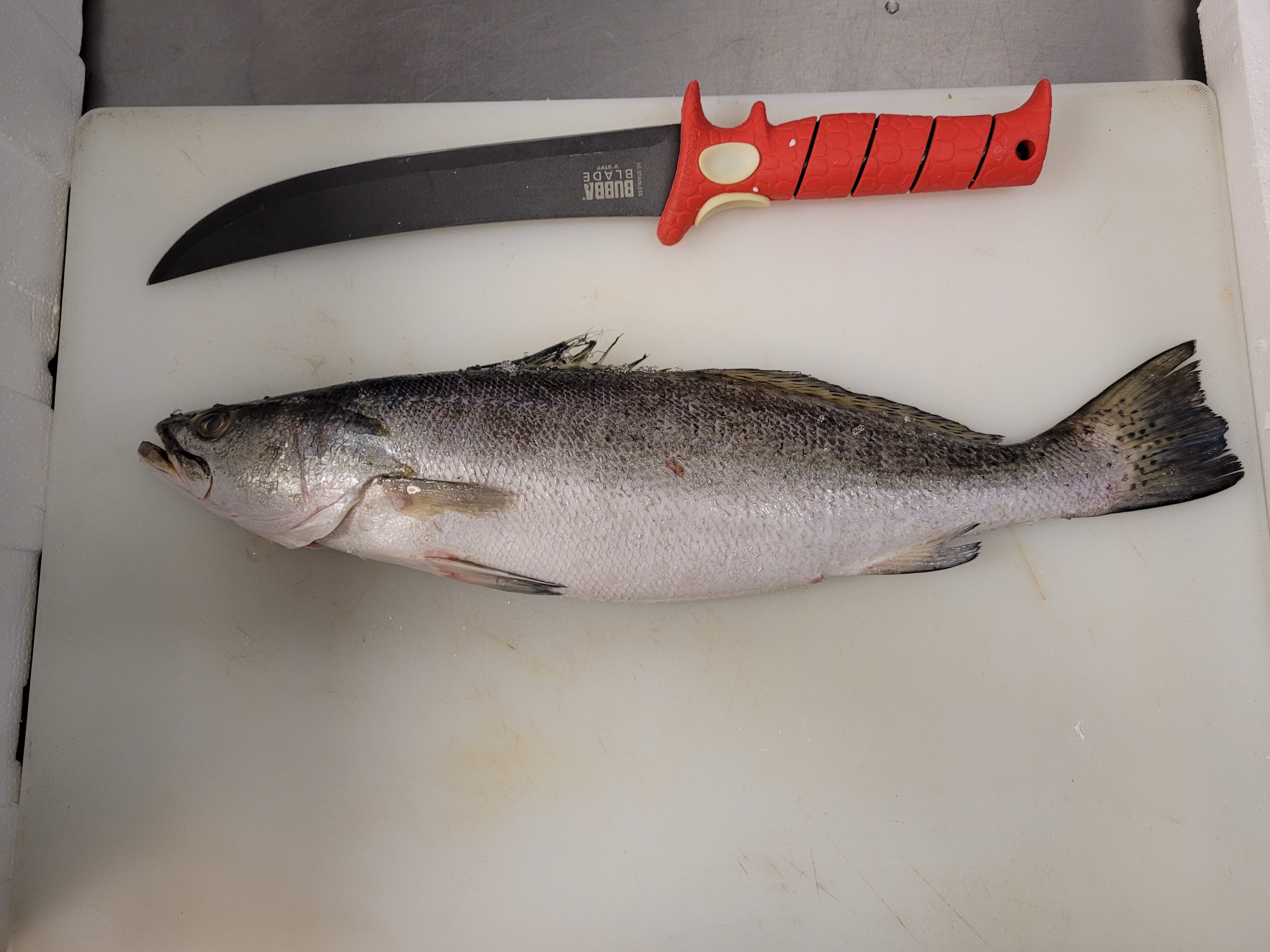 Cook your Catch: Speckled Trout Almandine Recipe