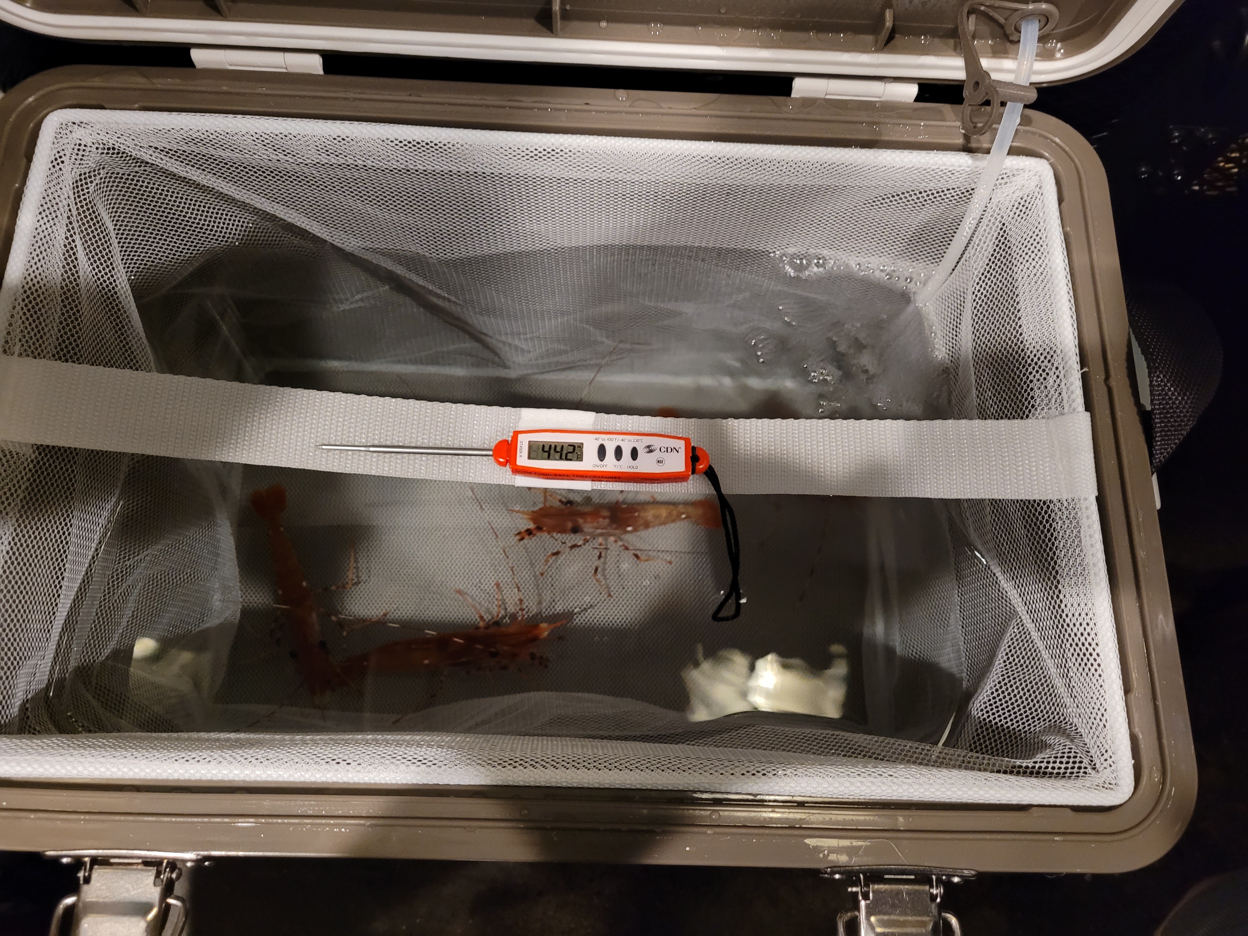 Engel Live Bait Cooler & Aerator Review