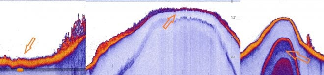 Deeper Bottom Group