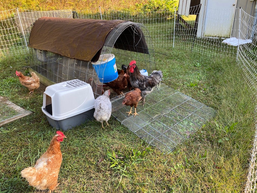 Hen Hydrator