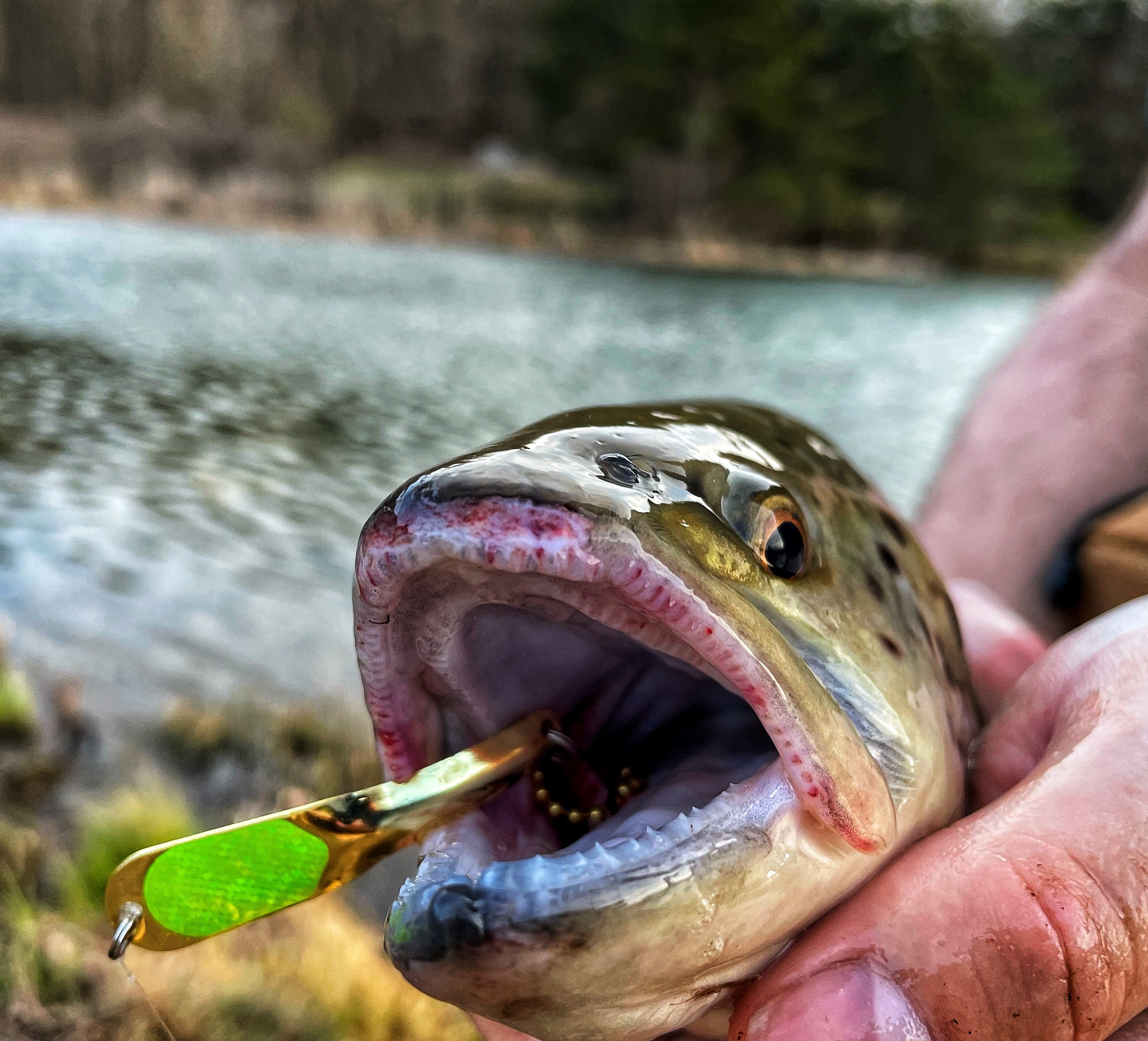 Iron Decoy Spoons Trout Salmon Steelhead Bass Pike Walleye