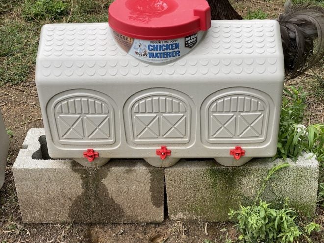 Water Systems – Little Giant Hen Hydrator vs OverEZ Chicken Waterer