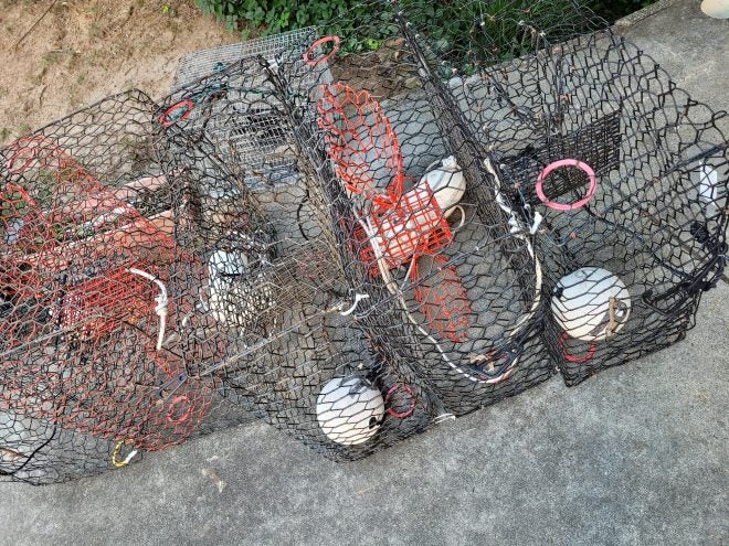 Blue Crab Trapping in Florida – How to Set Up Your Blue Crab Traps