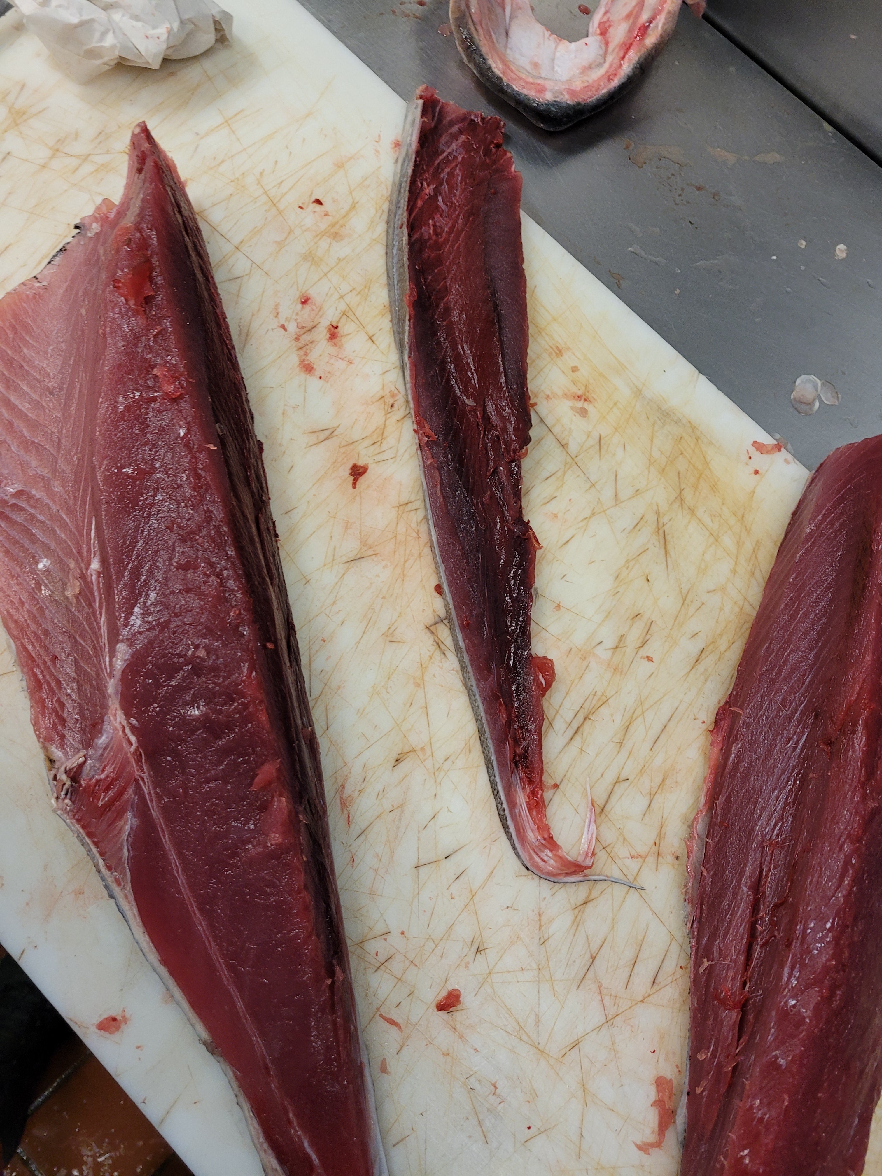 blackfin tuna tataki catch clean cook bubba blade