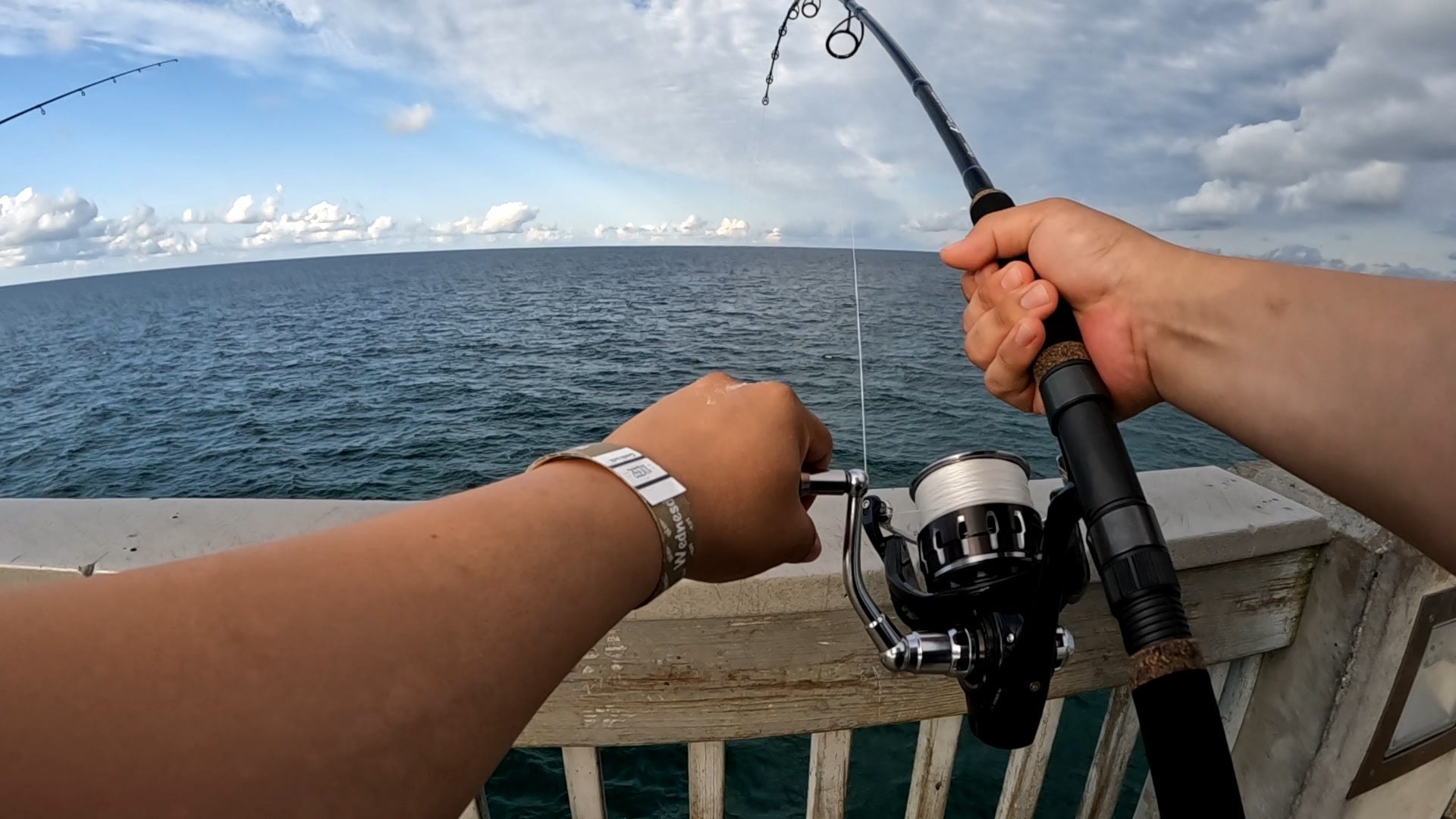 panama city beach county pier fishing bonita daiwa