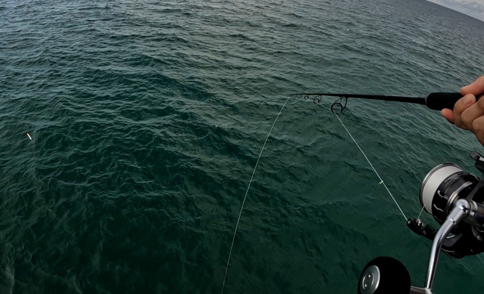 panama city beach county pier fishing bonita daiwa