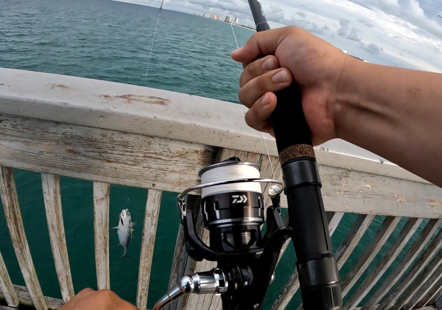 panama city beach county pier fishing bonita daiwa