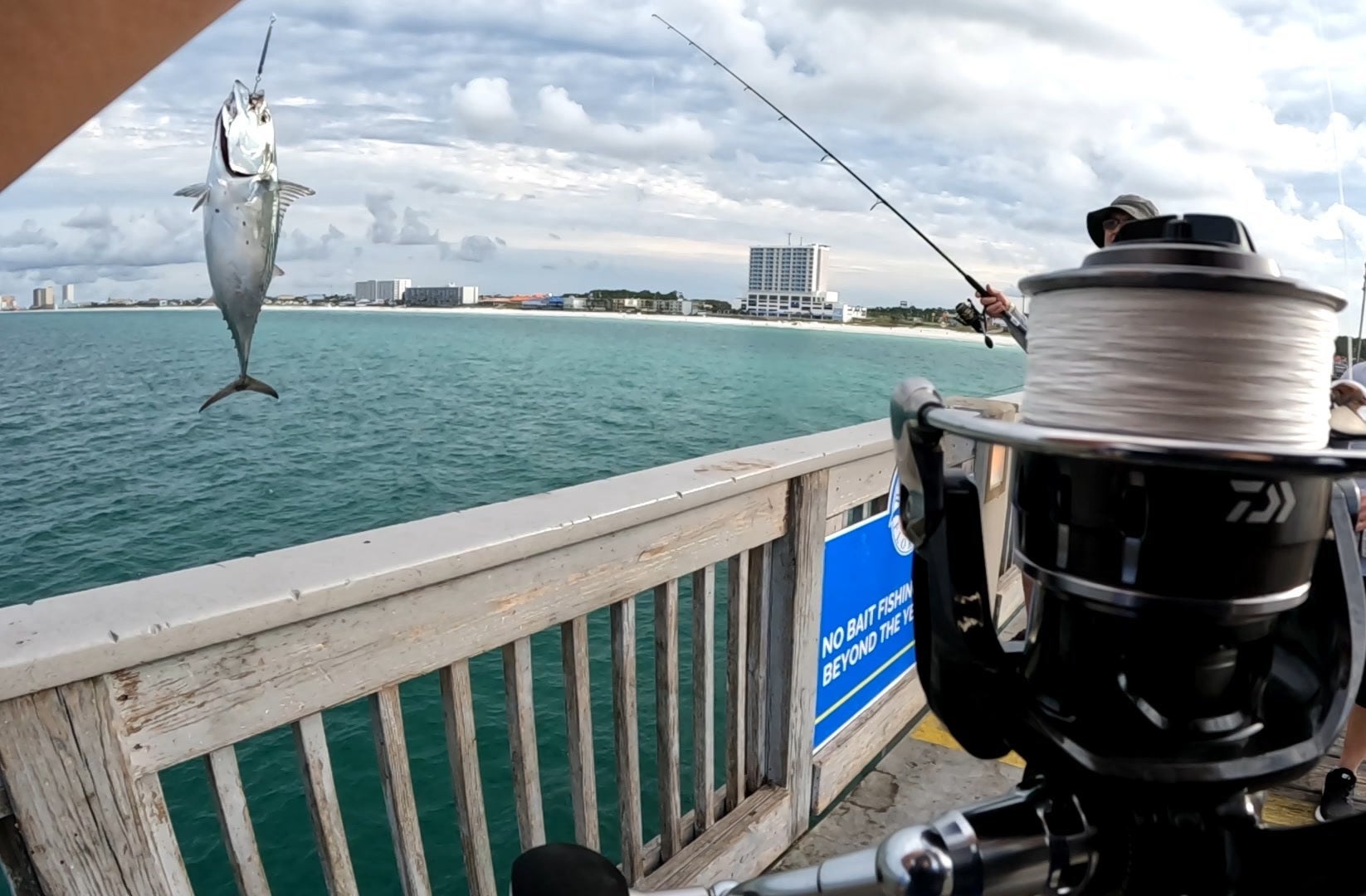 panama city beach county pier fishing bonita daiwa