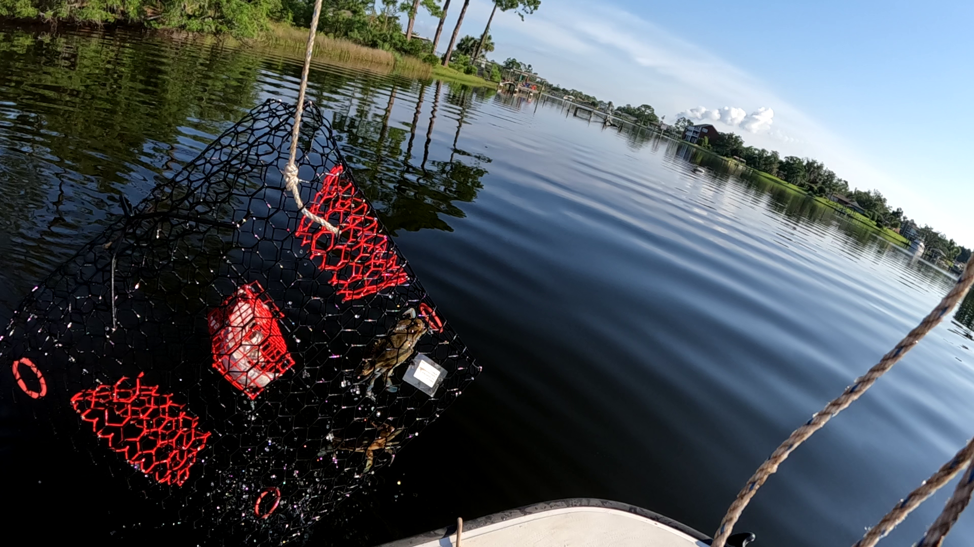 Panama City Blue Crab