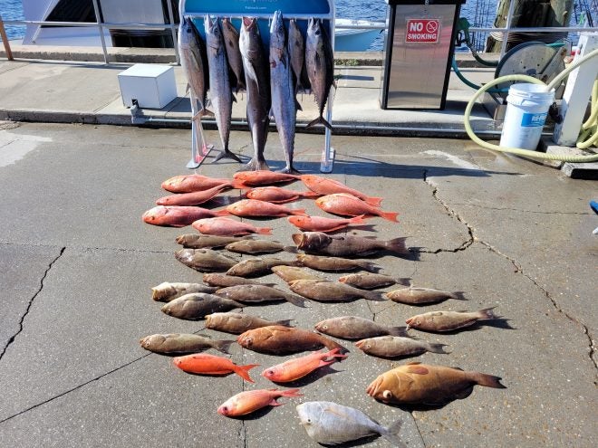 Fishing the Red Snapper Opener in Panama City, Florida