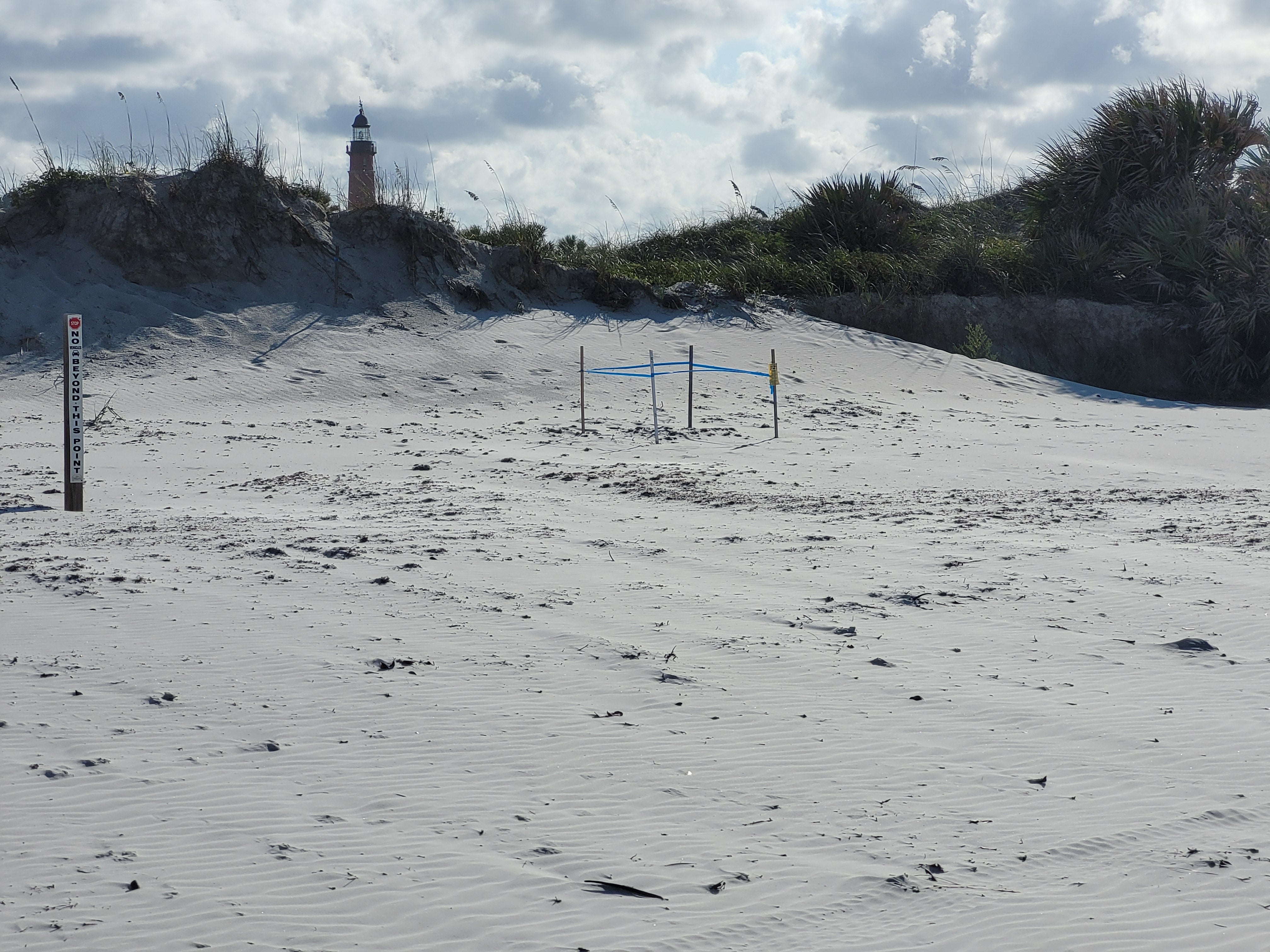 beach driving