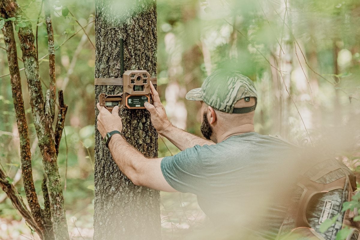 moultrie mobile edge