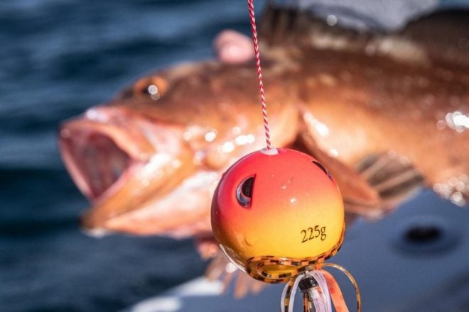 New SPRO Cannon Ball Saltwater Jigs – Attract more Fish!