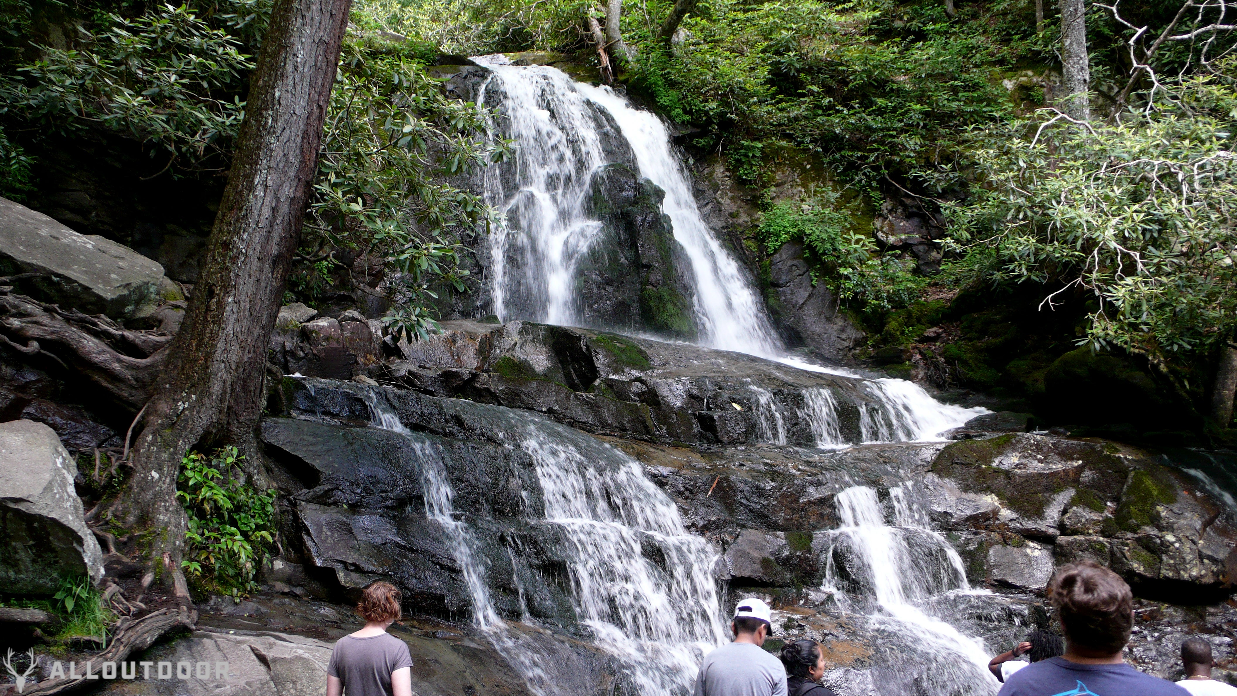 Great Smoky Mountain National Park Review