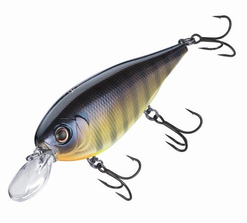 https://www.alloutdoor.com/wp-content/uploads/2022/07/daiwa-evergreen-xv5-shad-crankbait.jpg