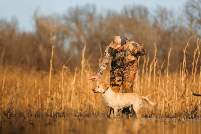 Introducing the New Delta SE Dog Training Collar from Garmin