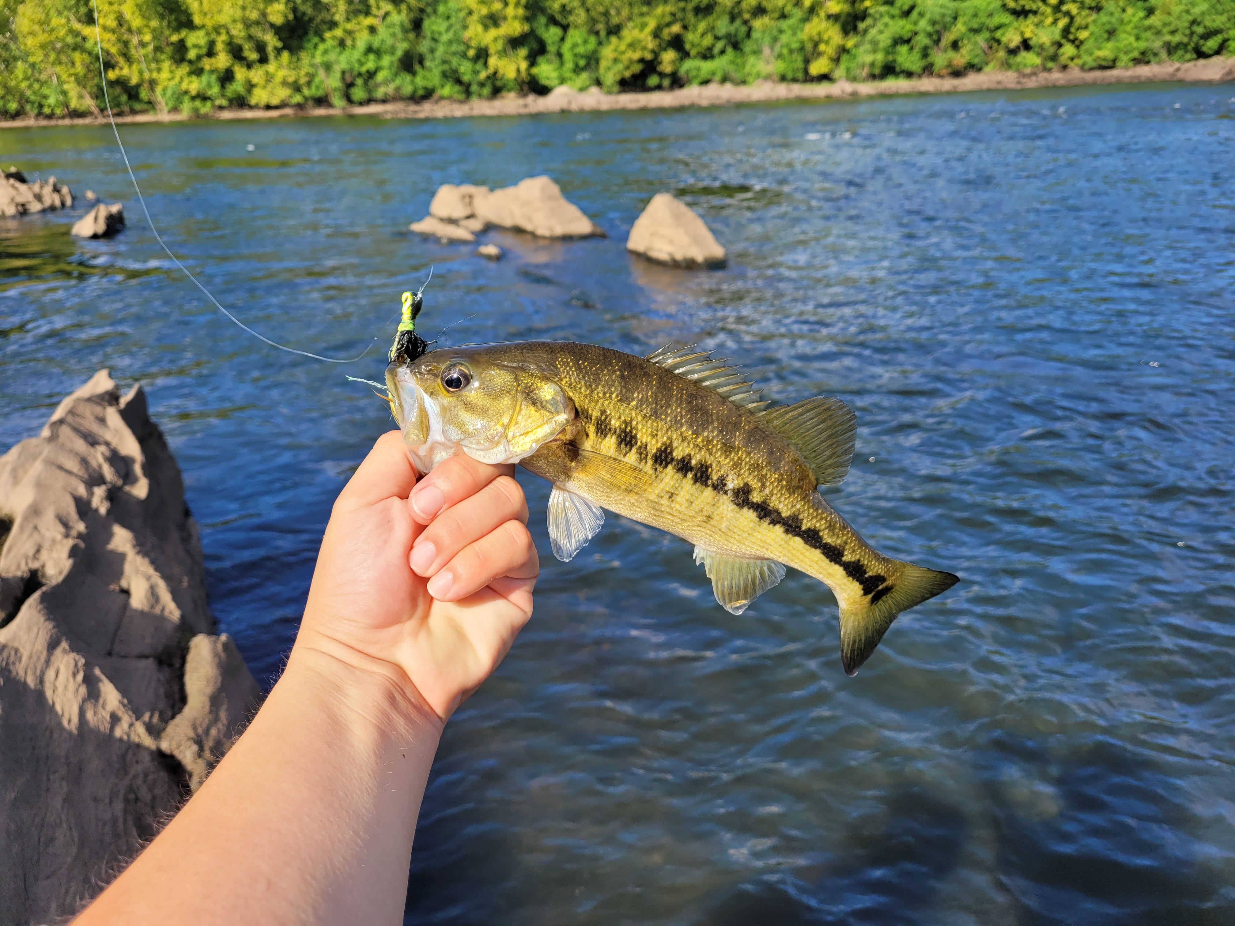 Jordan Lake Alabama Coosa River Spotted Bass