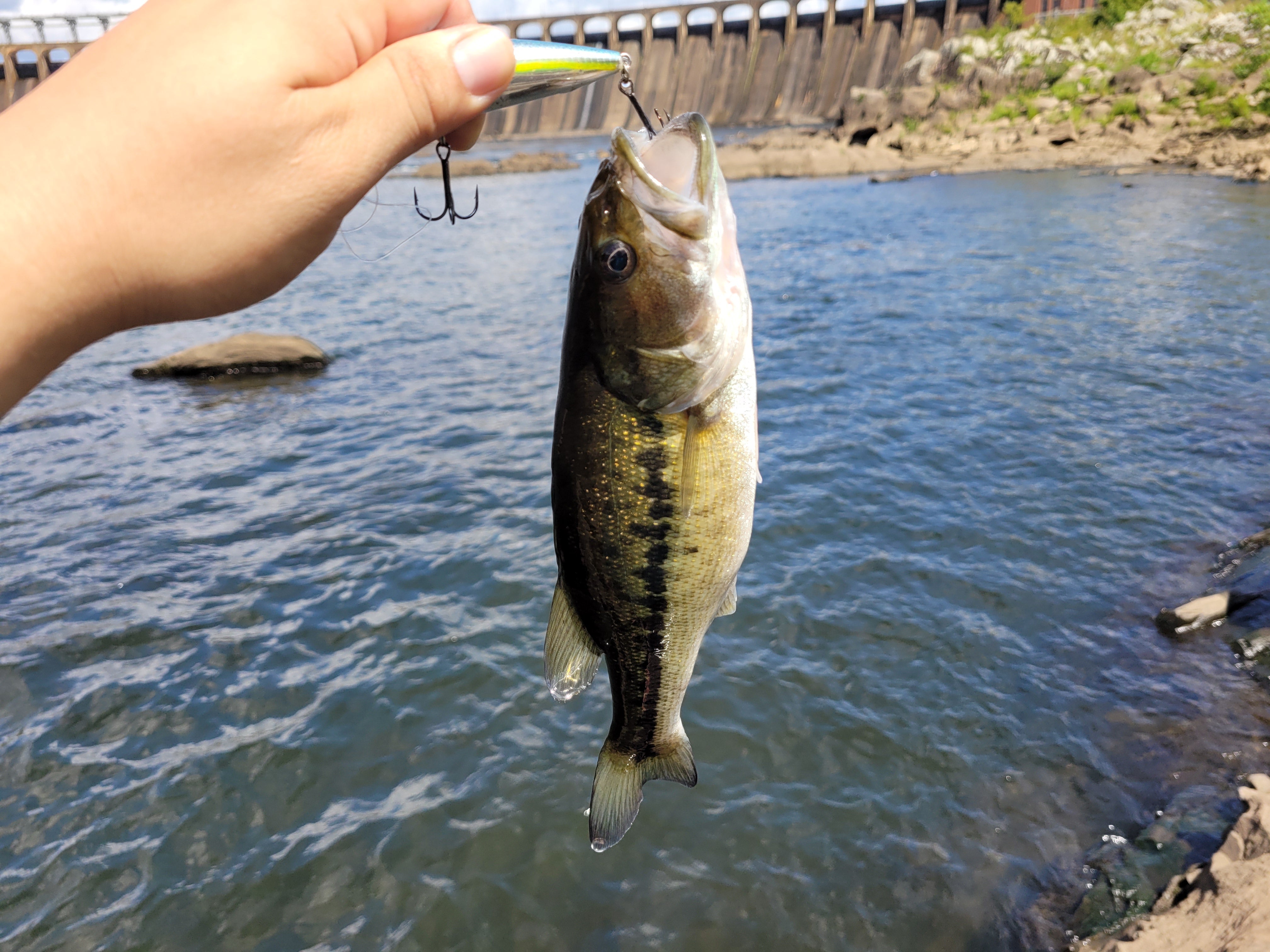 Jordan Lake Alabama Coosa River Spotted Bass