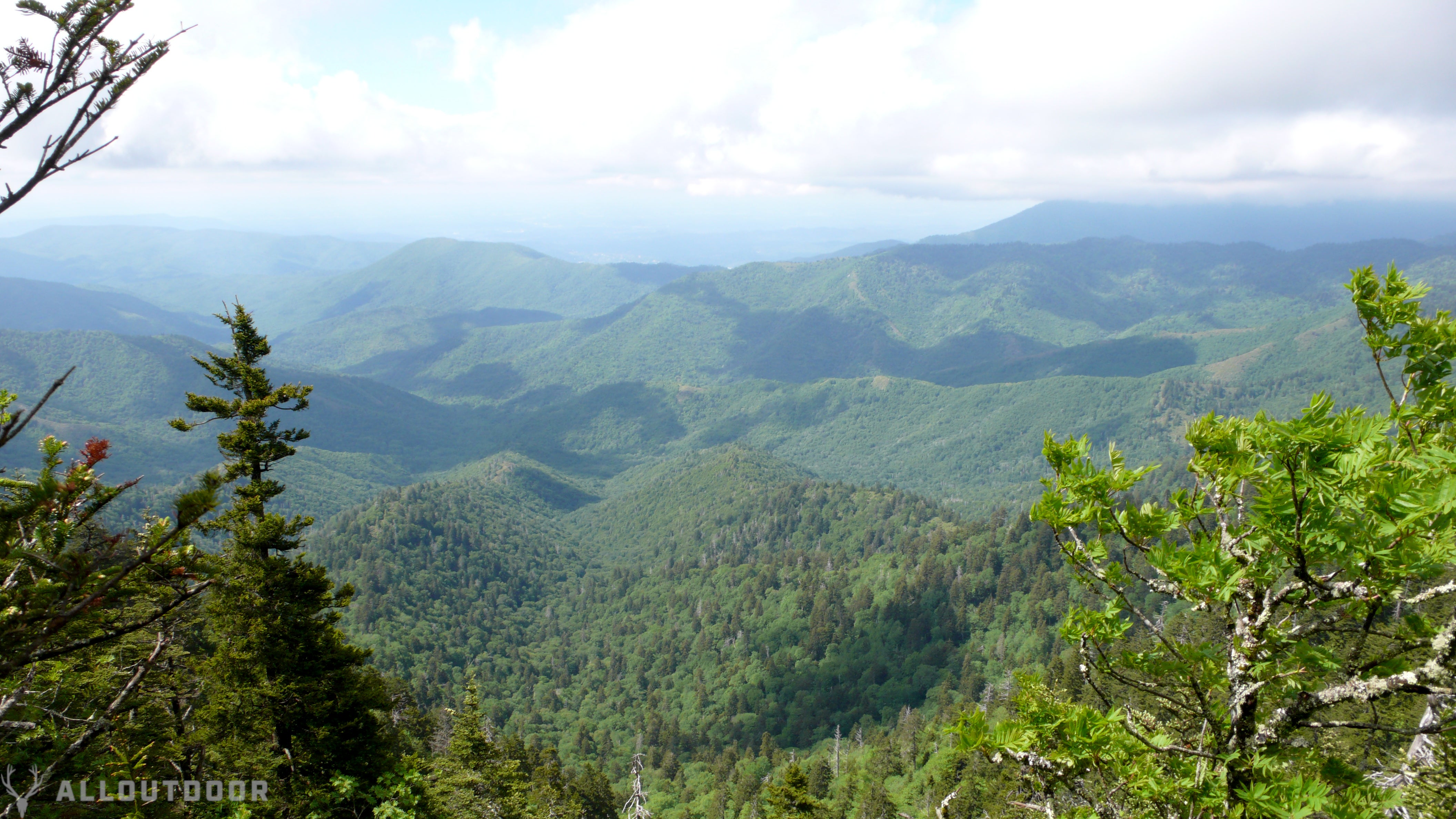 Great Smoky Mountain National Park Review