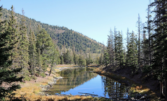 RMEF Grants Colorado $1.1 Million With Help of Partners