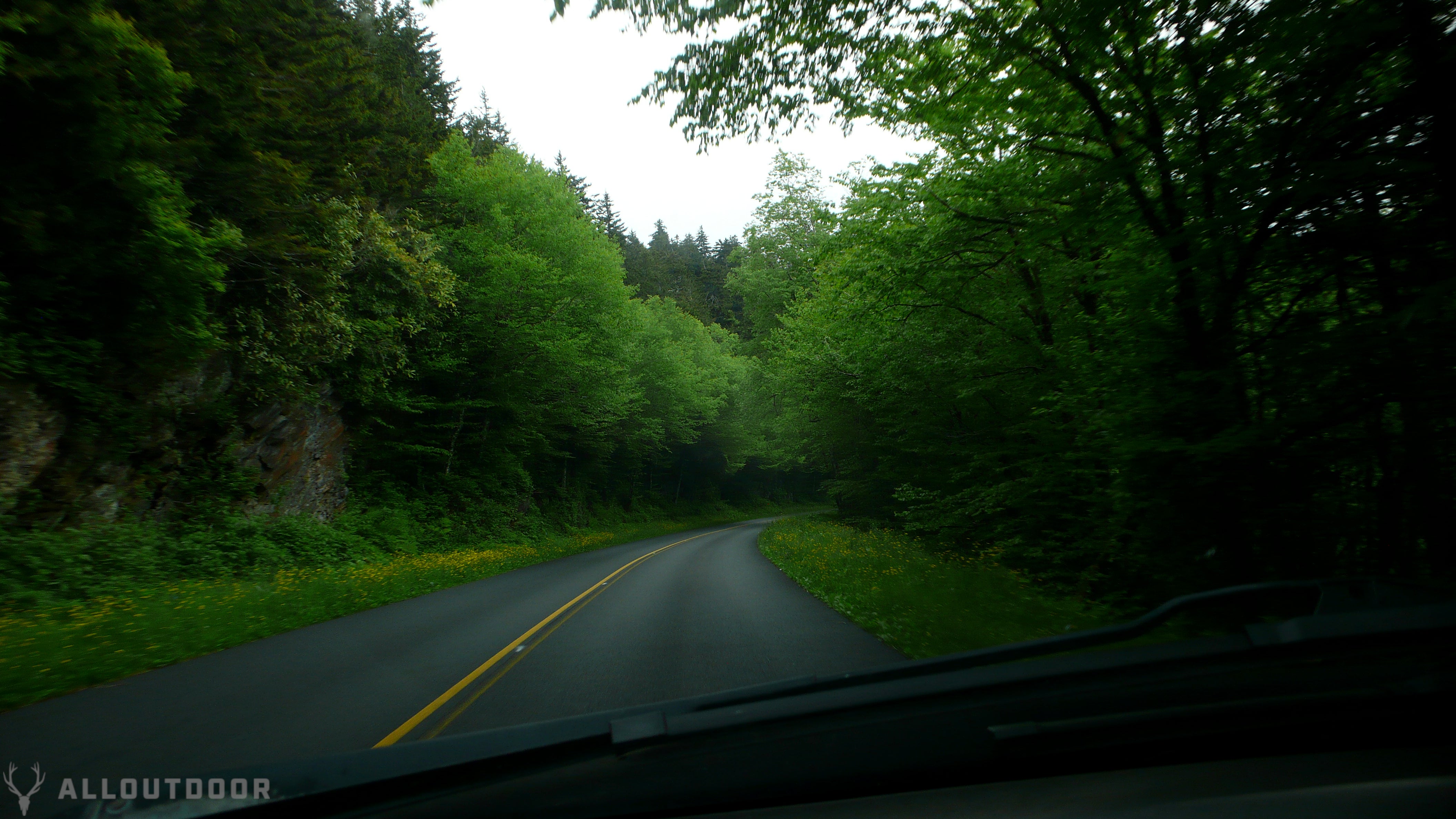 Great Smoky Mountain National Park Review