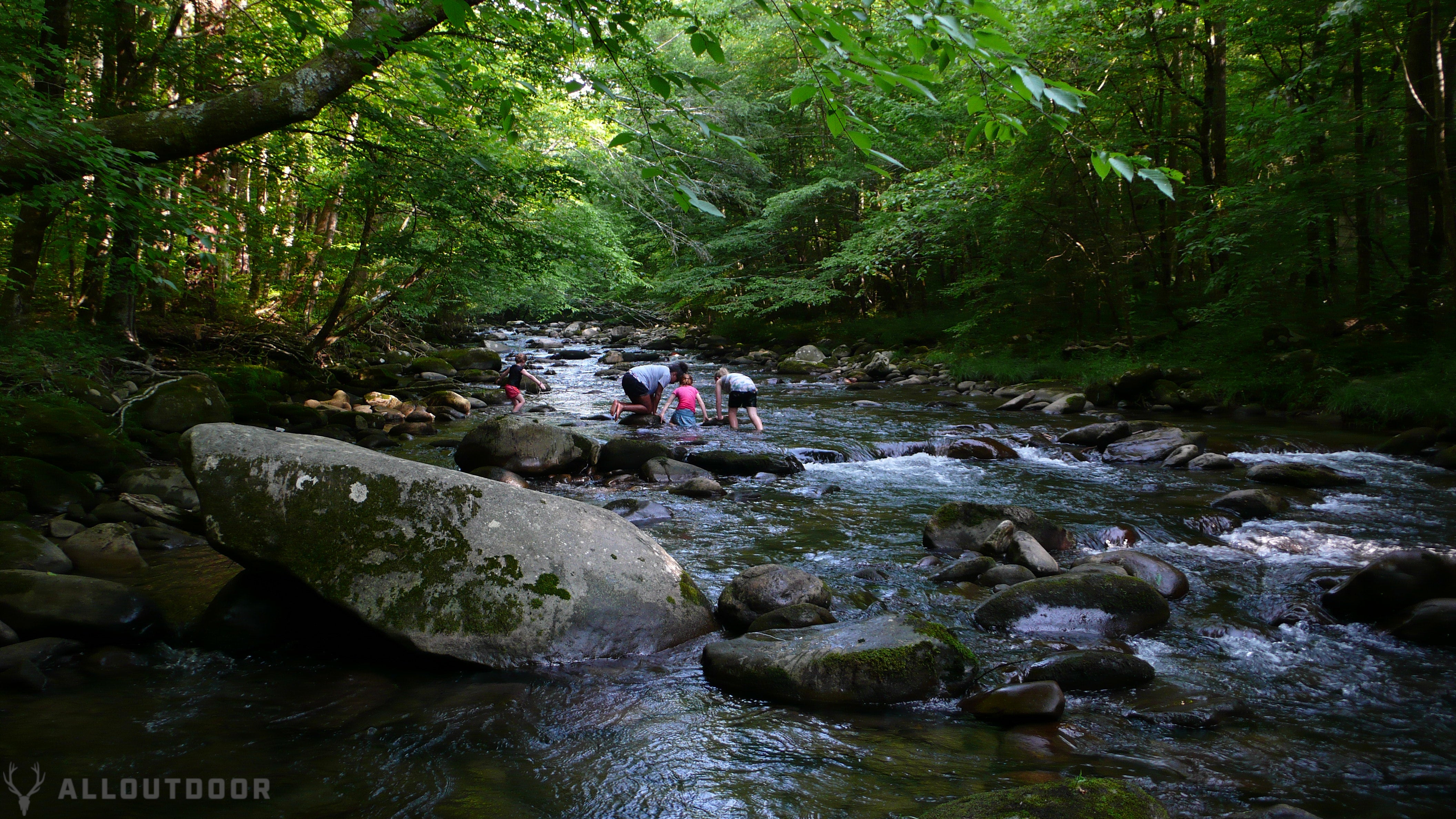 Great Smoky Mountain National Park Review