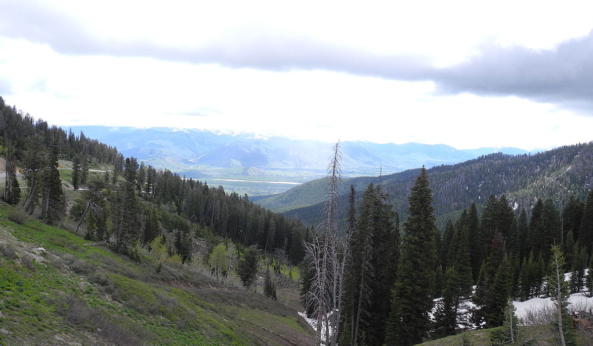 Wyoming Elk Habitat Research