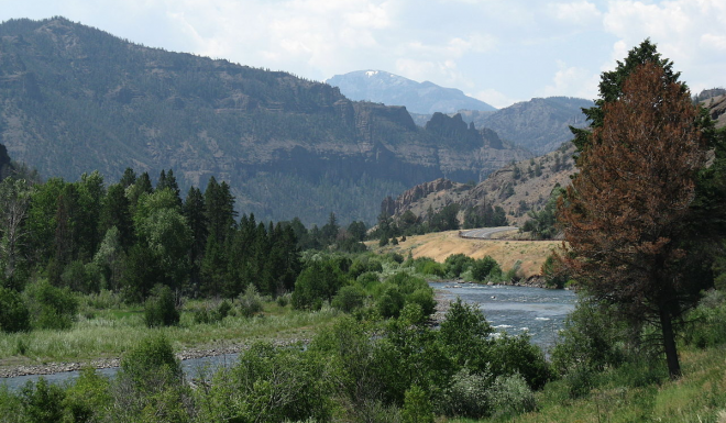 RMEF Injects $6M Into Wyoming Elk Habitat Research